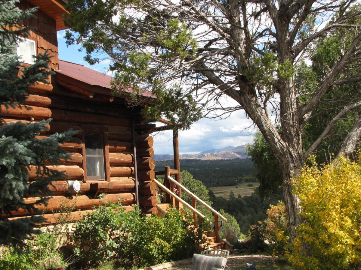 Starry Nights Ranch Bed & Breakfast Mancos Extérieur photo